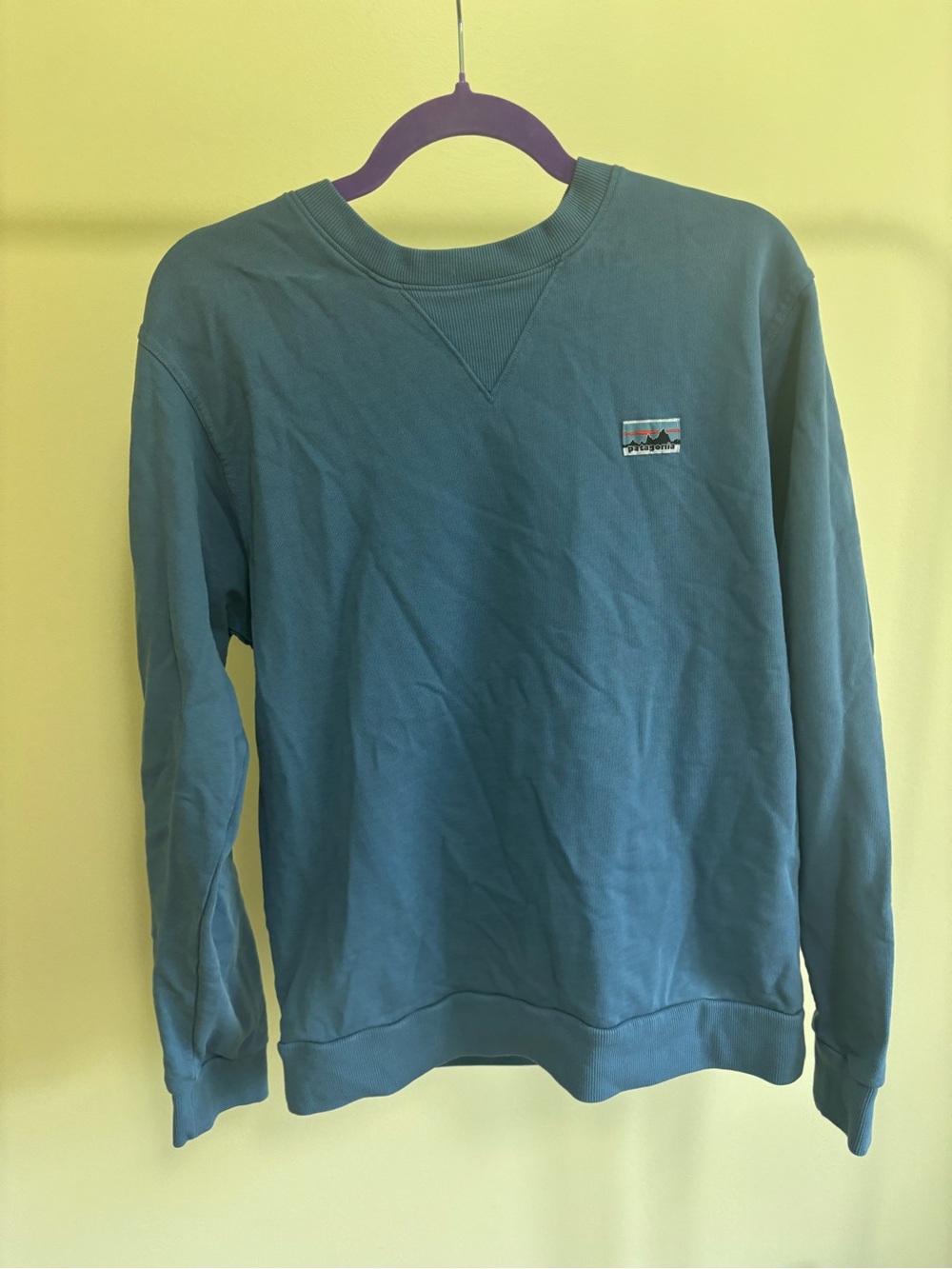 Patagonia Men's Teal Crew Sweatshirt with Logo Patch